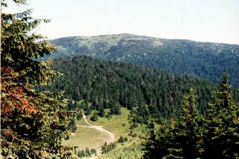 Pilsko