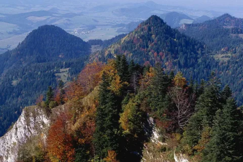 PaĽdziernik w Pieninach