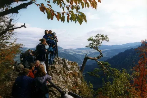 Skolica jesienią