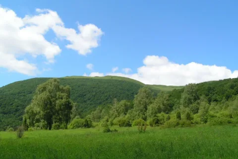 Bieszczady