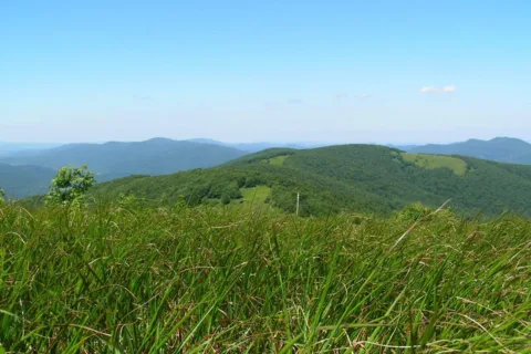 Bieszczady