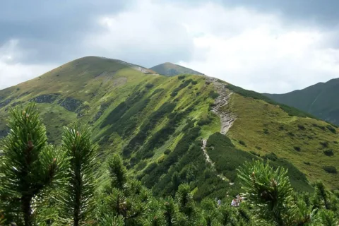 Widok na Kopę