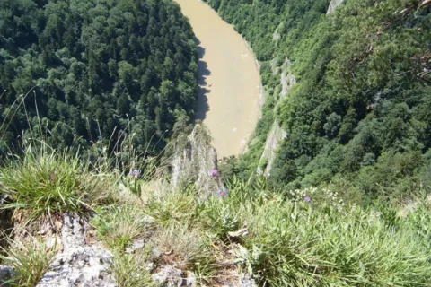 Widok z Sokolicy