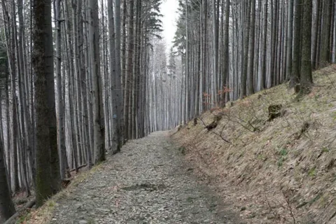 szlak niebieski na Czantorię