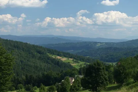 Widok z Koskowej Góry