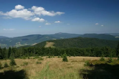 Widok z Gorców na Mogielicę
