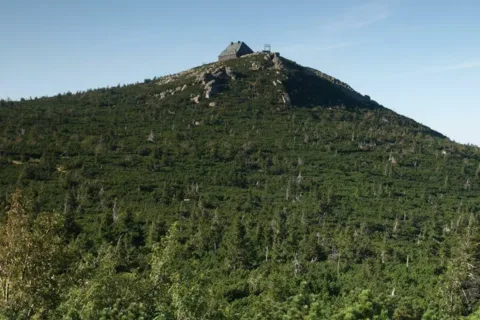 Szrenica