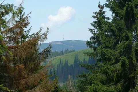 Skrzyczne
