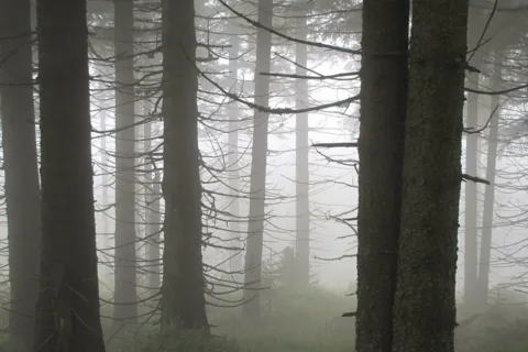 karkonoska mgła