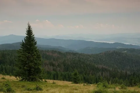 Gorce - widok na pasmo Lubania i Pieniny