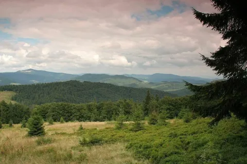 Widok z Polany Adamówka w Gorcach