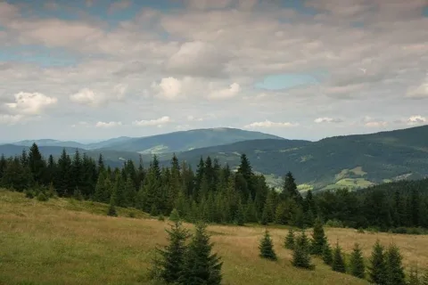 Widok z Adamówki