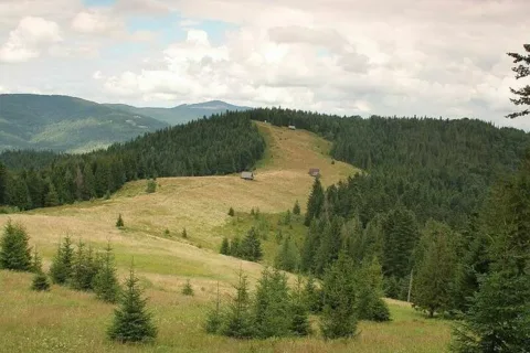 Polana Podskały - Gorce