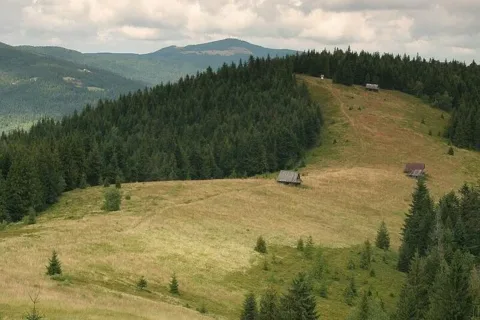 Polana Podskały - Gorce