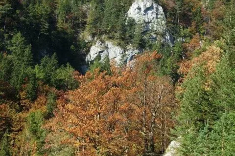 Kvacianska dolina Janosikova hlava