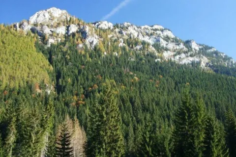Ohniste do Puchaliek Janska dolina