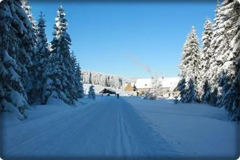 Polana Orle