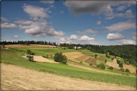 Uroki Beskidu Makowskiego - Koskowa Góra