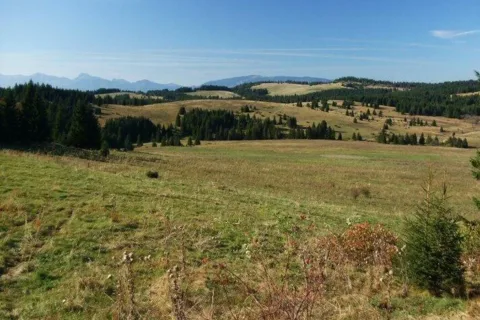 polana Svorad Grun Mlynova Mala Fatra