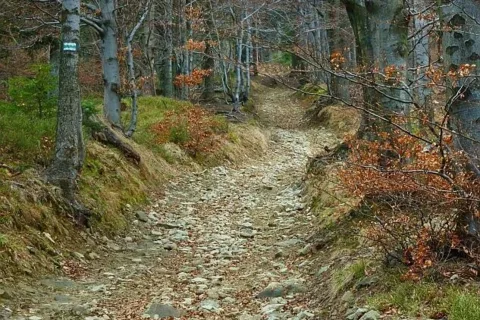 Beskid Śląski. Droga na Błatnią 14.04.2012