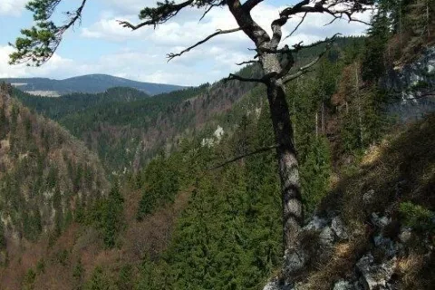 Kvacianska dolina pod Kvacianskym Ostrym vrchom