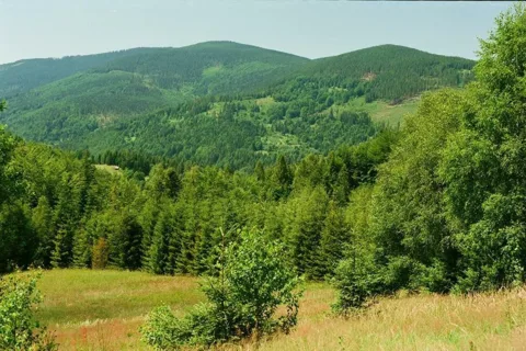 Beskid Żywiecki. Widok z Polany Łobysówka