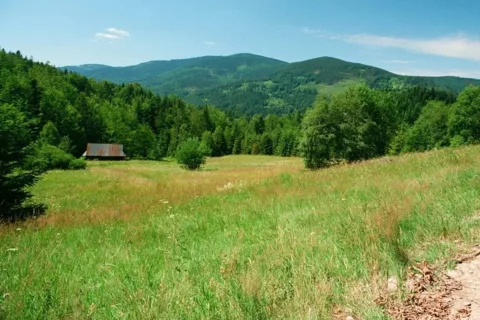 Beskid Żywiecki. Widok Z Polany Łobysówka