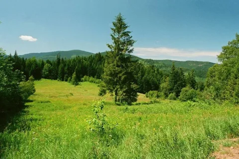 Beskid Żywiecki. Widok z Polany Łobysówka, szlak z Sopotni Wielkiej na przełęcz Przysłopy