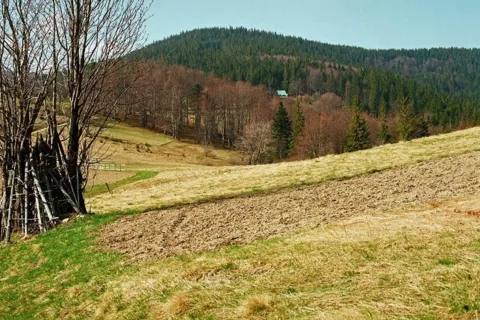 Beskid Żywiecki. Wiosenny widok z Przegibka na Bendoszkę Wielką