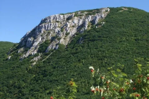 Krakova hola vrchol