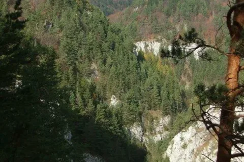 Prosiecka dolina