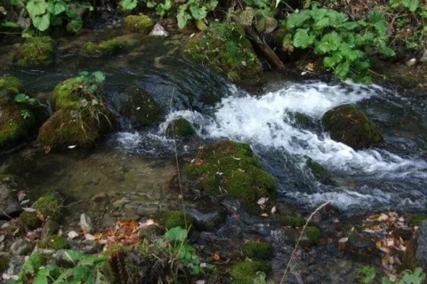 Vyvieranie_Vyvieracka Prosiecanky