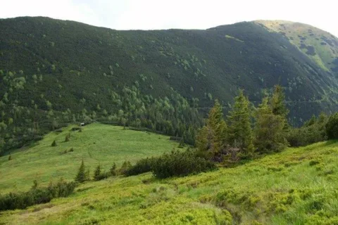Panska hola Besna ponad Bocianske sedlo