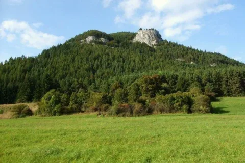 Bralo Cerenovej
