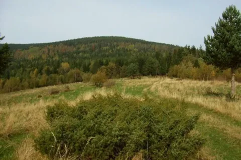 Grun Pripor 1000 m Kopec 1251 m