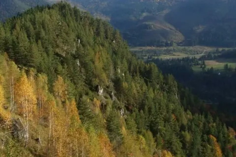 Opaliska - Setisko_Selnice Urdanova Michalovo vzadu Skribnovo