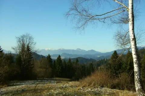 Na Cupankovej Trniny Repiska vzadu Mala Fatra