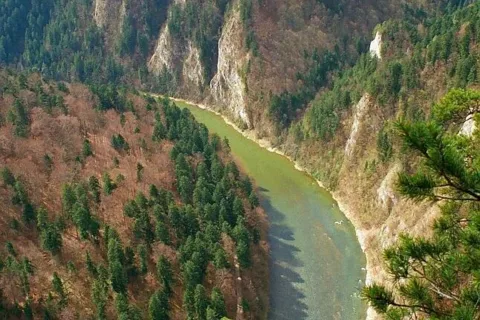 Pieniny. Widok z Sokolicy