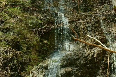 Zliebky do Bieleho