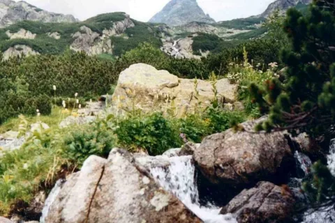 Naturka