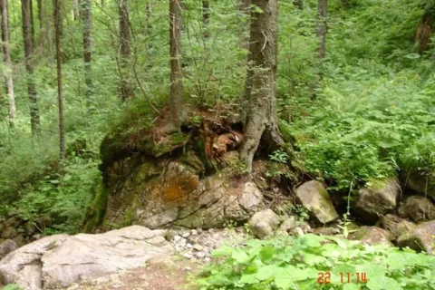 Na skale
