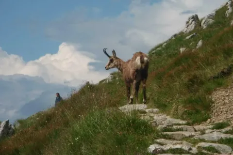 Spotkanie na szlaku