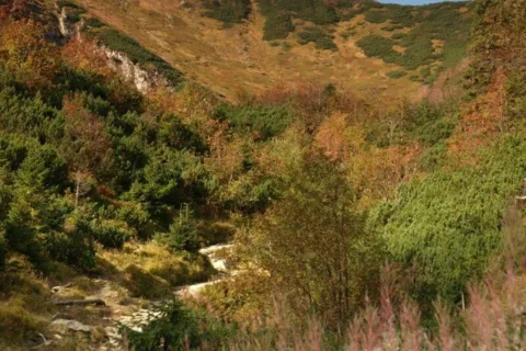 Barwy Jesieni