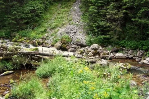 Potok górski