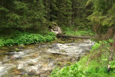 Potok górski