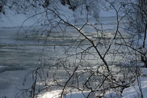 zima