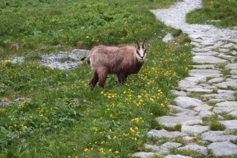 spotkanie na szlaku