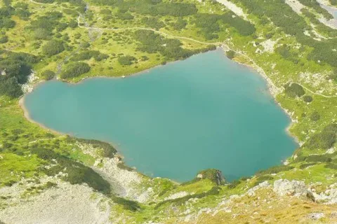 Zielony Staw