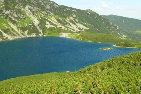 Czarny Staw