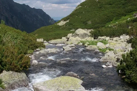 U źródeł Silkawy